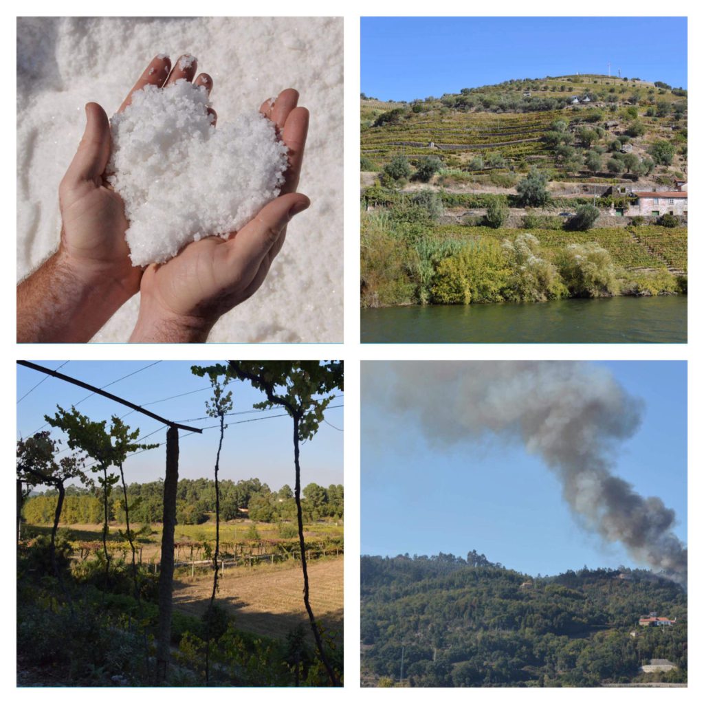 27018352_2006562462893159_1346496602_o